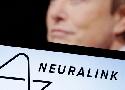 Neuralink : le fantasme d'Elon Musk pour nous implanter des puces dans le cerveau